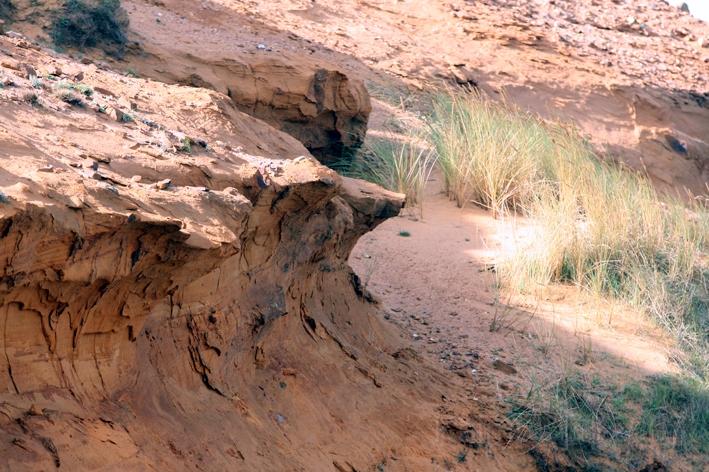 Morsum Kliff 23.jpg - Am Morsum Kliff